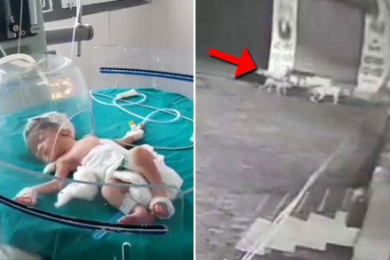 आई नव्हे कसाई ! ‘नकोशी’ला फेकलं पण कुत्र्यांनी वाचवलं, CCTV मध्ये घटना कैद