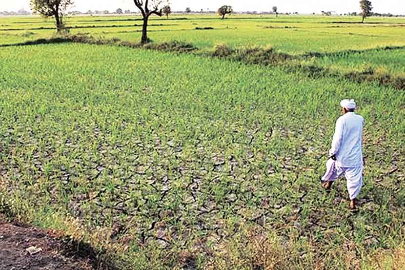 मराठवाडा : दुष्काळ पुन्हा उंबरठय़ावर