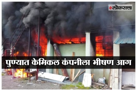 अॅमेझॉन पर्जन्यवनात भयंकर वणवा