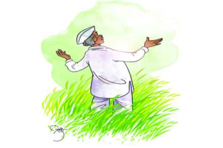 माऊलीची कृपा