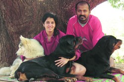 श्वानप्रेमी