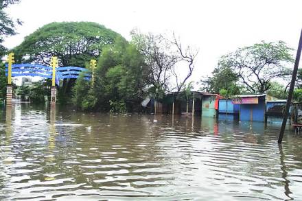 यंदा श्रावण सुरू झाल्यापासून कोल्हापुरात सुरू असलेल्या पावसाच्या तांडवाने कृष्णा-पंचगंगेचे काठ समूळ उखडून टाकले.