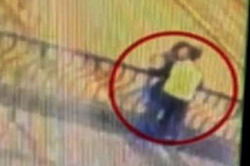 Video : ५० फूट उंच ब्रिजवर करत होते रोमान्स, अचानक तोल जाऊन झाला मृत्यू