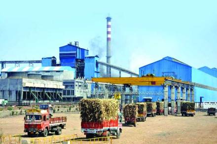 मराठवाडय़ात ऊसबंदीची शिफारस