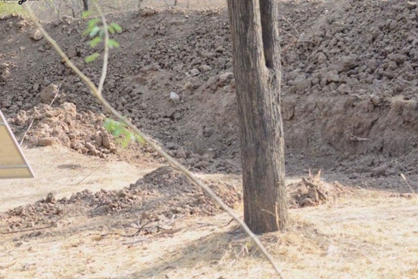Spot A Leopard
