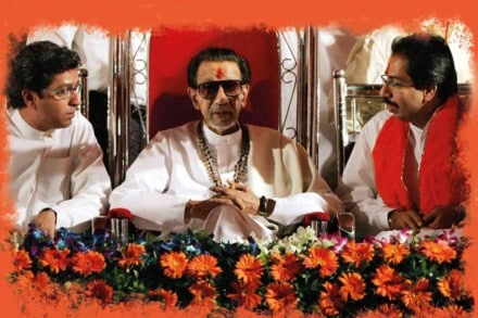 'द कझिन्स ठाकरे: उद्धव राज अॅण्ड द शॅडो ऑफ सेनाज'