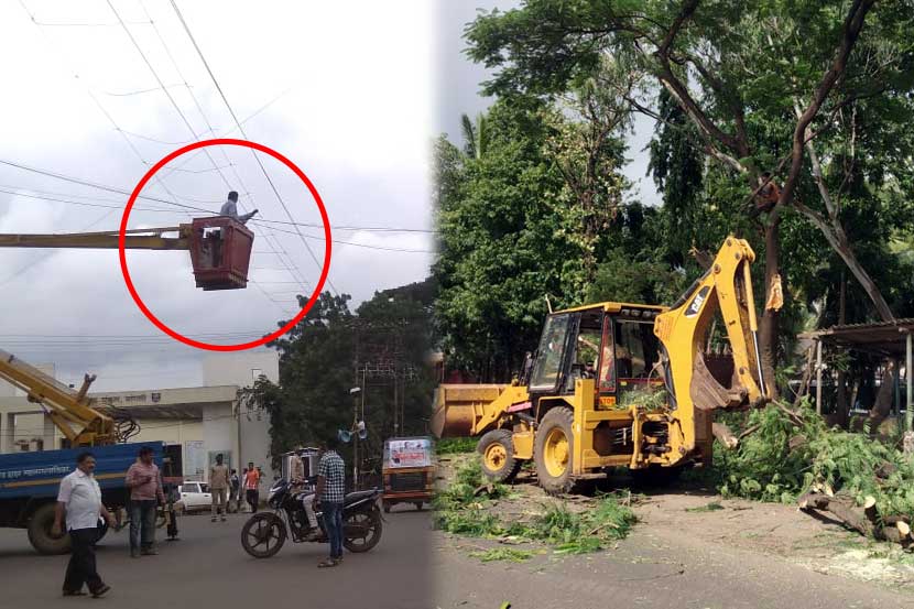 मुख्यमंत्र्यांच्या महाजनादेश यात्रेसाठी कोल्हापूर, सांगलीत झाडे, विजेच्या तारा तोडल्या