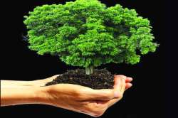 वृक्षारोपणाचा फार्स