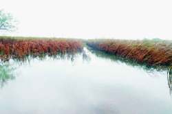 पूरग्रस्त उसाचे वास्तव आणि बचाव!