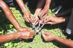 अमली पदार्थाची ‘सुलभ’ विक्री