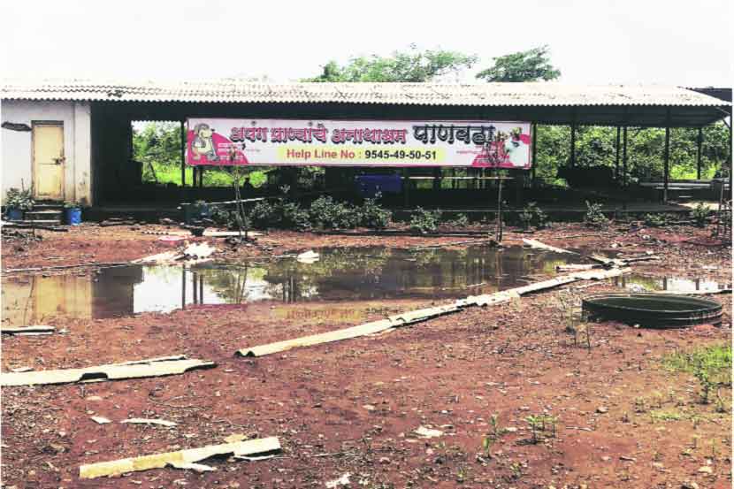प्राण्यांसाठीचा ‘पाणवठा’ मदतीच्या प्रतीक्षेत