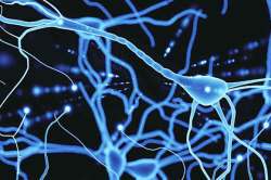 मेंदूशी मैत्री : मनातल्या विचारांवर प्रकाश