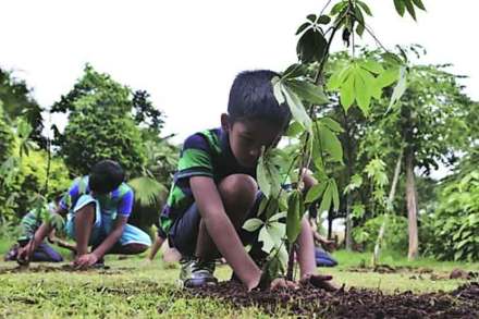हरित पालघरचे स्वप्न टप्प्यात ; जिल्ह्य़ात ६९ लाख वृक्षरोपांची लागवड