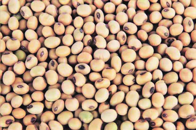 सोयाबीनचा दर चार हजारांवर ; प्रथमच हमीभावापेक्षा अधिक दर