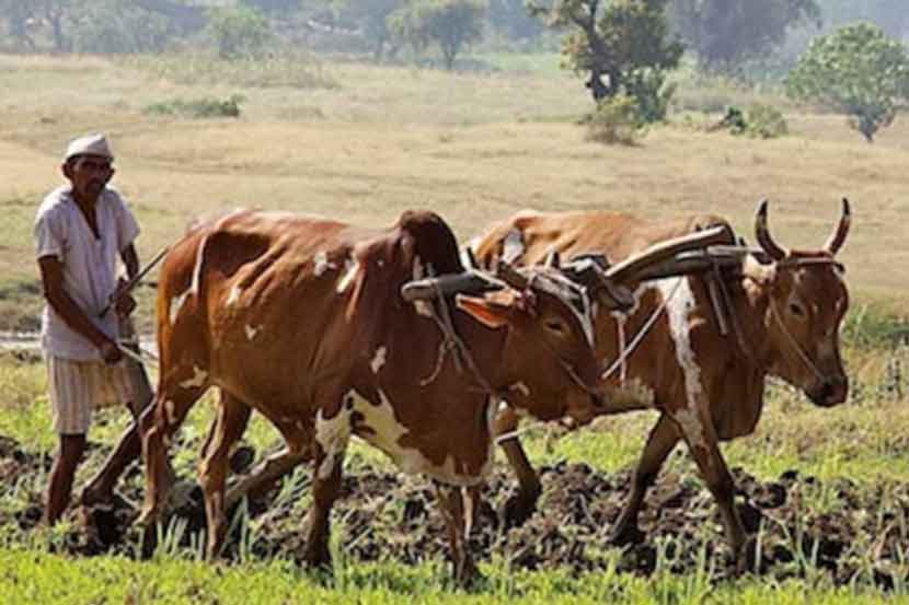 कृषी संजीवनी  प्रकल्पाच्या व्याप्तीत वाढ
