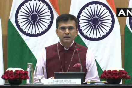 कुलभूषण जाधव प्रकरणी भारत मुत्सद्दीपणे पाकिस्तानच्या संपर्कात राहील – रवीश कुमार