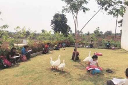 शाळेच्या आवारात अभ्यास करताना विद्यार्थी..