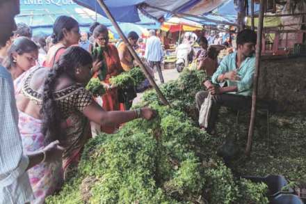 पितृपक्षातही भाज्या महागच