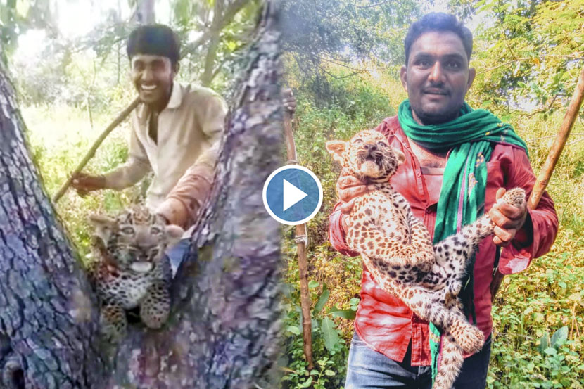 व्हायरल व्हिडिओ