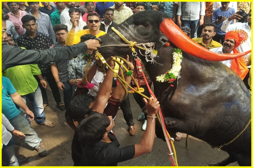 VIDEO : पुण्यात परंपरागत सगर उत्सवाचं आयोजन