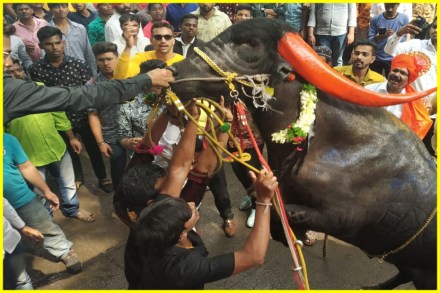 VIDEO : पुण्यात परंपरागत सगर उत्सवाचं आयोजन
