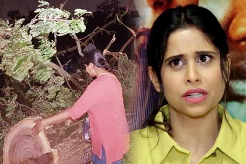 ”…नंतर बसा बोंबलत”; ‘आरे’तील वृक्षकत्तलीवर सईचा संताप