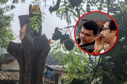 काँग्रेसचा टोला