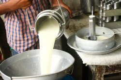 दुधात प्रतिजैविकांचे अंश, विषारी घटक