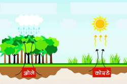 गजाली विज्ञानाच्या : विनाश काले, विपरीत बुद्धी
