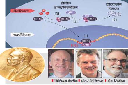 (संग्रहित छायाचित्र) (संग्रहित छायाचित्र)