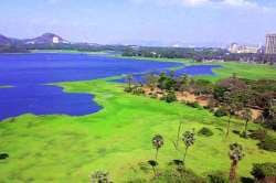 पर्यावरणप्रेमी मुंबईकर?