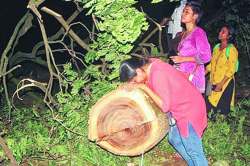 निर्घृण कत्तल रातोरात!