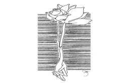 рддрд│ рдврд╡рд│рддрд╛рдирд╛ : рдирд┐рд░реНрдгрд╛рдпрдХ рдкрд╛рдКрд▓!