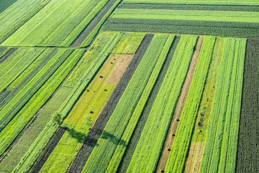 (संग्रहित छायाचित्र)