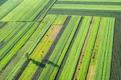 рд╕реВрдХреНрд╖реНрдо рдЕрдиреНрдирдШрдЯрдХ : рдлреЙрд╕реНрдлрд░рд╕ рдЬреАрд╡рдирд╛рдЪреЗ тАШрдлреНрд▓рд╛рдпрд╡реНрд╣реАрд▓тАЩ