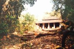 विचित्र निर्मिती : एकतानता