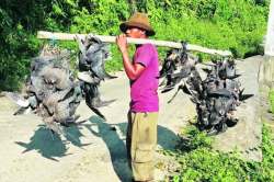 рд╡реЗрдз рднрд╡рддрд╛рд▓рд╛рдЪрд╛ : рд╕рд╕рд╛рдгрд╛ рд╕рдВрд░рдХреНрд╖рдгрд╛рдЪреА рдпрд╢реЛрдЧрд╛рдерд╛