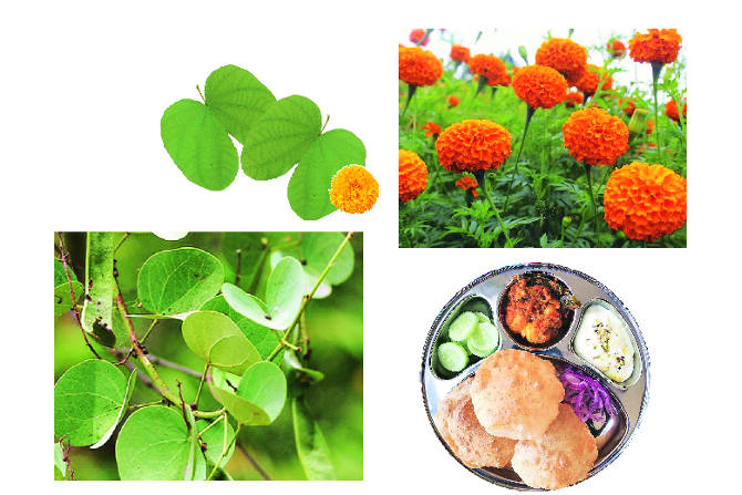 आपट्याची पानं आणि झेंडू