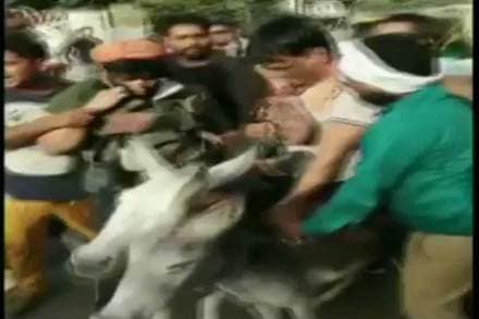 ‘बसपा’च्या राष्ट्रीय समन्वयकासह माजी प्रदेश प्रभारीची गाढवावरून धिंड