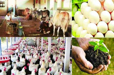 यूपीएससीची तयारी : आर्थिक विकास कृषी आणि कृषी संलग्न क्षेत्र