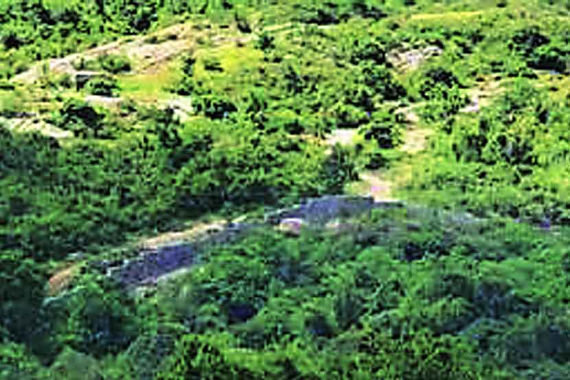 तुंगारेश्वर परिसरातील २१ गावे बाधित