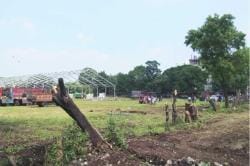 ..‘सपसप’ कुऱ्हाडी चालल्या!