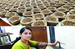 प्राणवायू देणारे शेणाचे पर्यावरणपूरक दिवे आले..