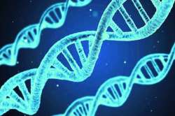 कुतूहल : आनुवंशिकतेचे मूळ