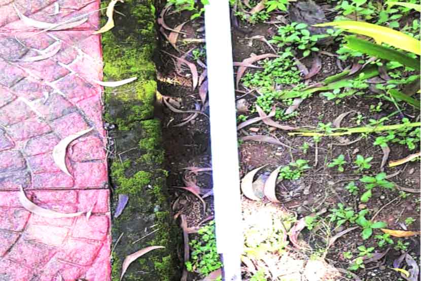 वाशीत गर्दुल्ल्यांचा धुडगूस