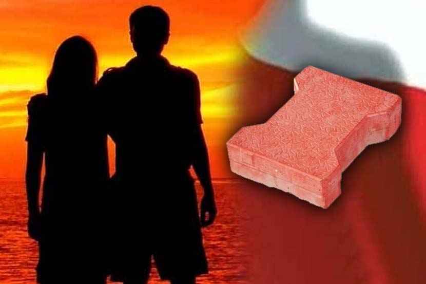 मुलाने डोक्यात पेव्हर ब्लॉक घालून आईच्या प्रियकराची केली हत्या