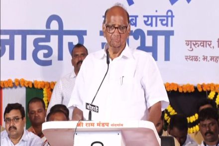 आम्हाला गरीब बाप चालेल, पण स्वाभिमानी हवा : शरद पवार