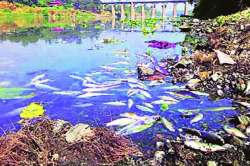 राज्यात तापी नदी सर्वाधिक प्रदूषित