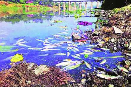 संग्रहित छायाचित्र