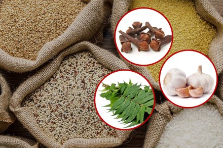 धान्यांमध्ये कीड लागू नये म्हणून करा ‘हे’ घरगुती उपाय धान्यांमध्ये कीड लागू नये म्हणून करा ‘हे’ घरगुती उपाय